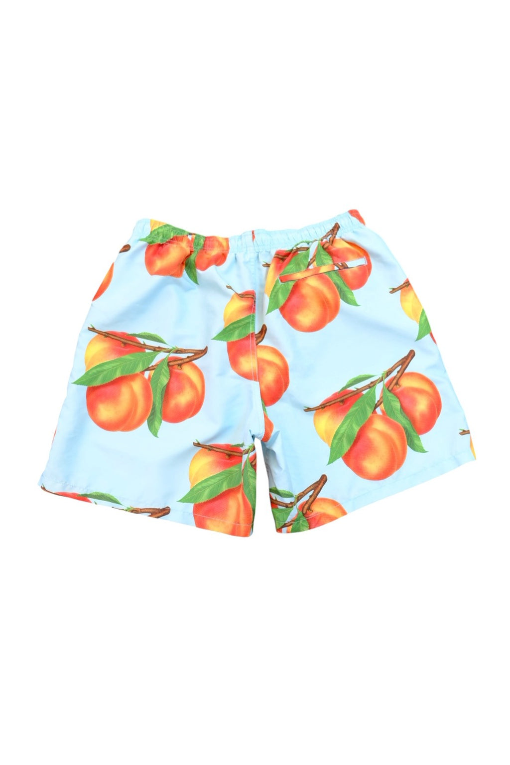 Stussy Shorts L