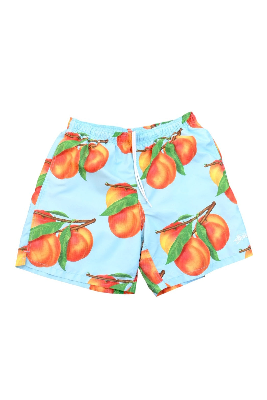 Stussy Shorts L